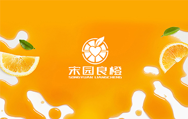 某良橙——亳州LOGO设计