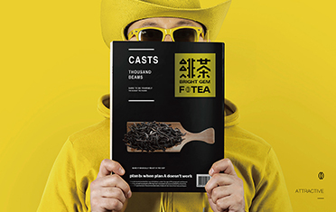 亳州绯茶品牌设计